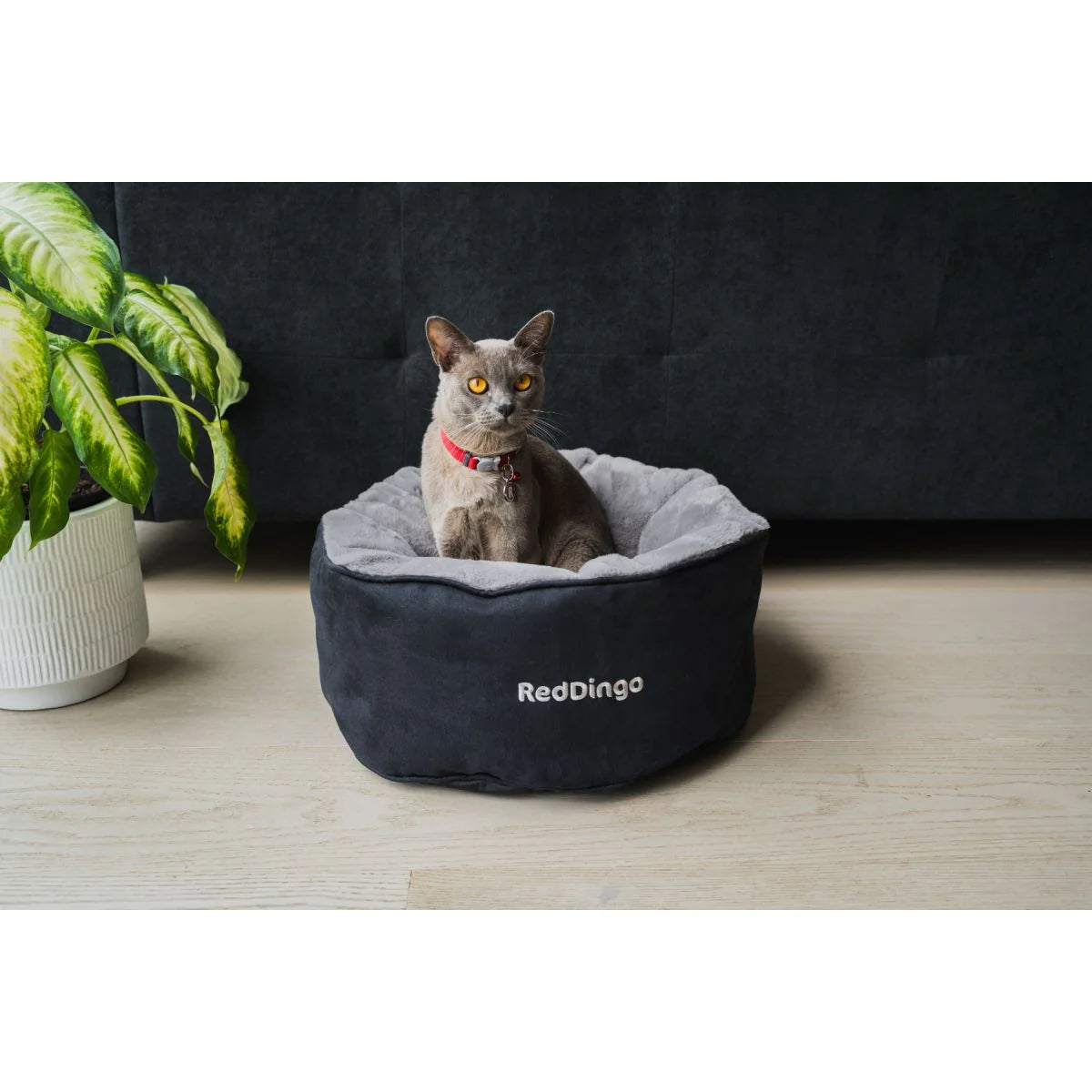 RED DINGO CAT BED MARINE