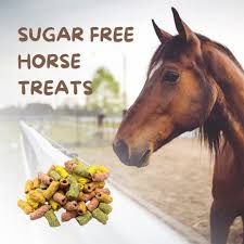HUDS & TOKE HORSE BIX 1KG
