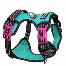 DOOG NEOTECH HARNESS RIN TIN TIN MEDIUM