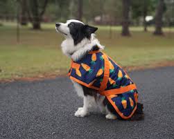 SUPREME DOG COAT CARROT 10/25CM