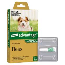ADVANTAGE DOG 0-4KG SMALL GREEN 1'S