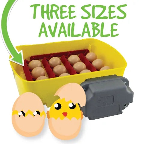 EGG-TECH ANTIBACTERIAL INCUBATORS