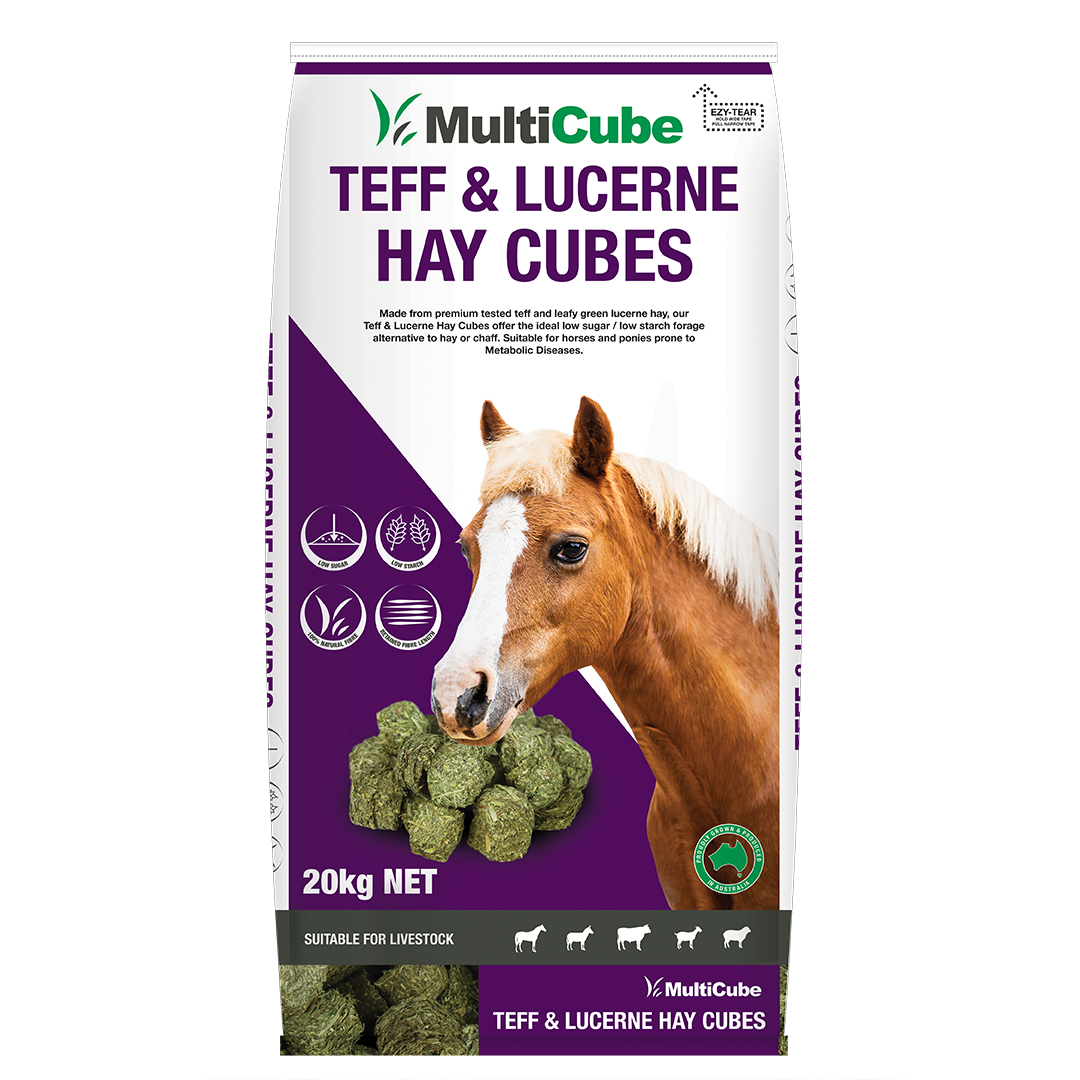 MULTICUBE TEFF & LUCERNE CUBES 20KG