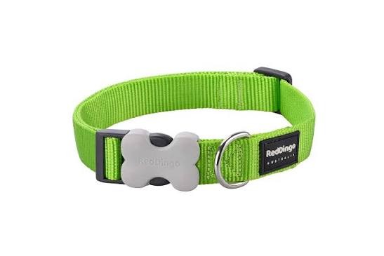 Red Dingo Dog Collar Classic Lime Green