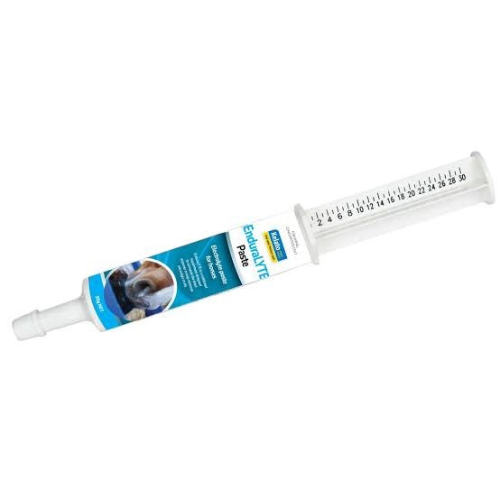 Kelato EndruaLYTE Paste 30g