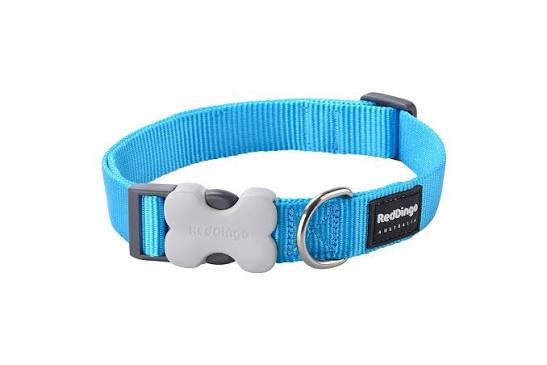 Red Dingo Dog Collar Classic Turquoise