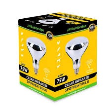 Bainbridge Clear Infrared Spot Heat Globe 75w