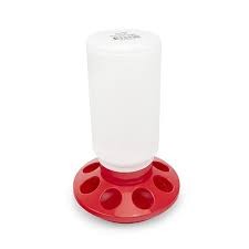 Bainbridge Poultry Feeder 1kg Red