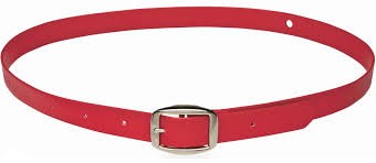 Horse Sense Identity Neck Strap