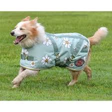 Thermo Master Supreme Dog Coat Olive Daisies