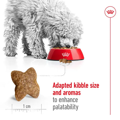 ROYAL CANIN DOG MINI ADULT
