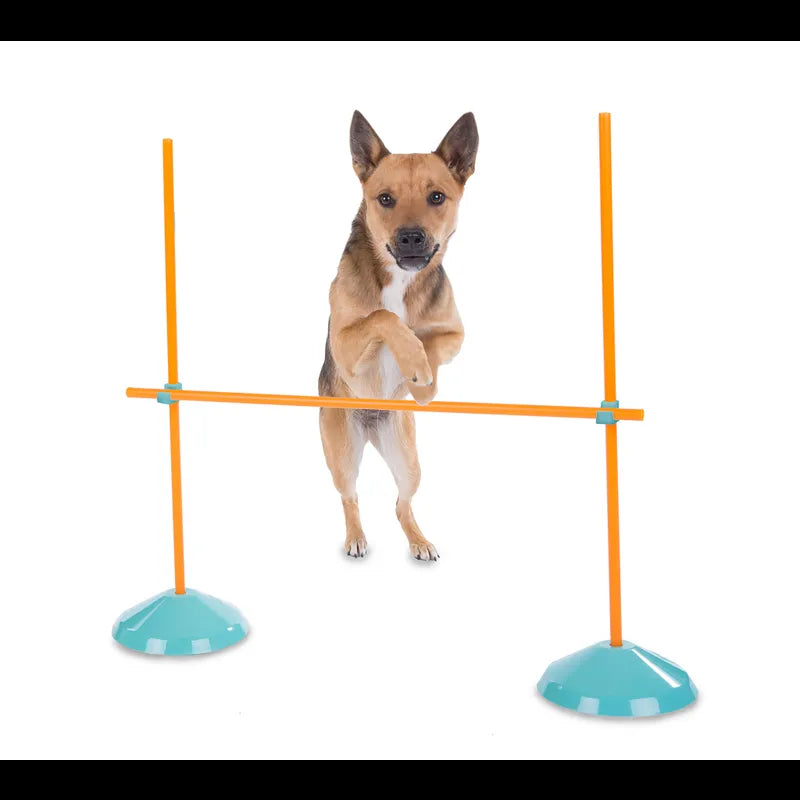 OUTWARD HOUND DOG ZIPZOOM AGILITY KIT