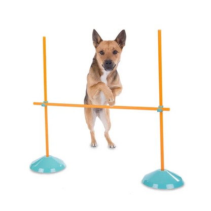 OUTWARD HOUND DOG ZIPZOOM AGILITY KIT