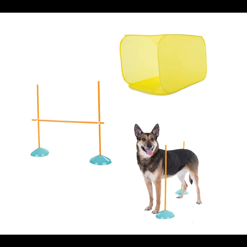 OUTWARD HOUND DOG ZIPZOOM AGILITY KIT