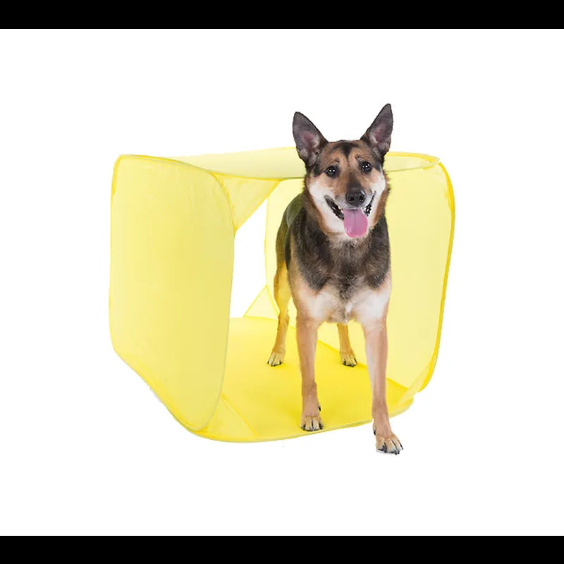 OUTWARD HOUND DOG ZIPZOOM AGILITY KIT