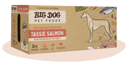 BIGDOG DOG TASSIE SALMON
