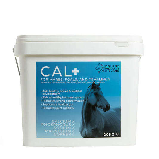 EQUINE PRODUCTS IRELAND CAL + BROODMARE & YOUNG HORSE 20KG