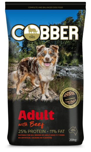 COBBER ADULT WITH BEEF 20KG
