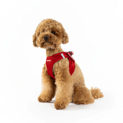 EZYDOG FORMFITA HARNESS GREEN