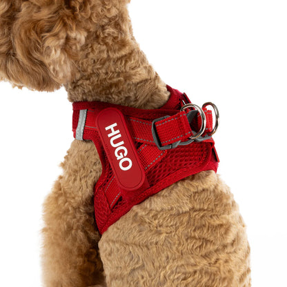 EZYDOG FORMFITA HARNESS PURPLE