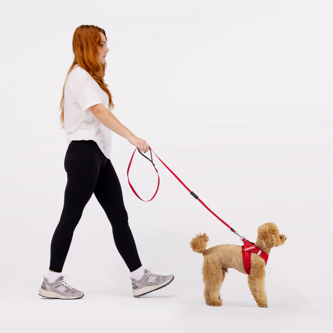 EZYDOG FORMFITA HARNESS GREEN