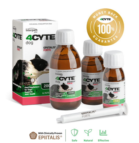 4cyte Epiitalis Forte Gel for Dogs 200ml