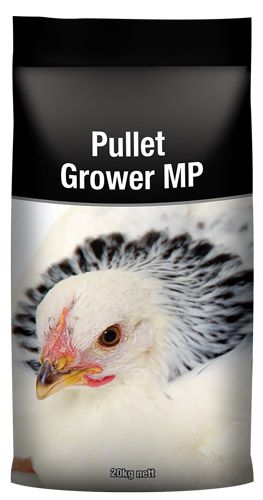 LAUCKE PULLET GROWER