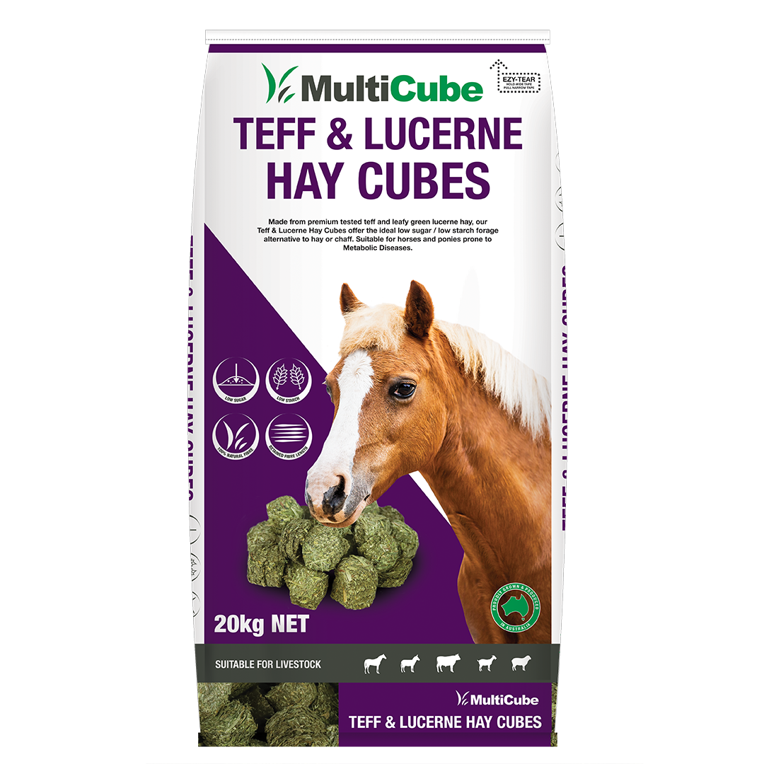 Multicube Teff & Lucerne Cubes