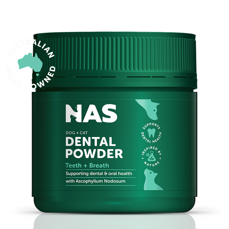 NAS DENTAL POWDER 150G