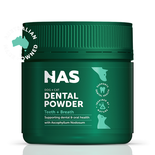 NAS DENTAL POWDER 150G