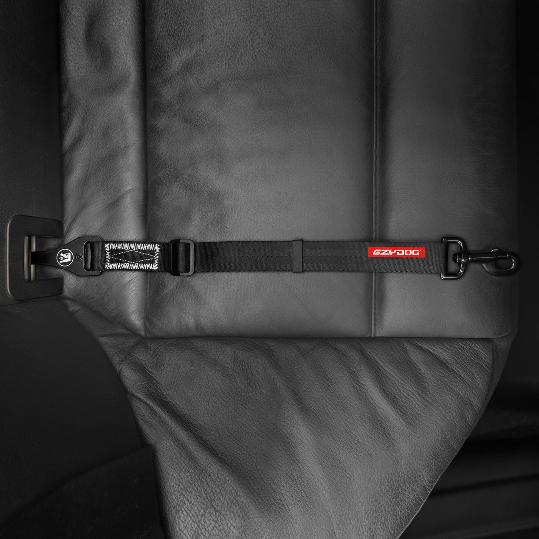 EZYDOG ISOFIX STANDARD CAR RESTRAINT