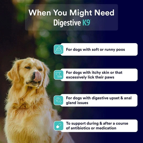 POSEIDON DIGESTIVE K9 CHEWS 185G