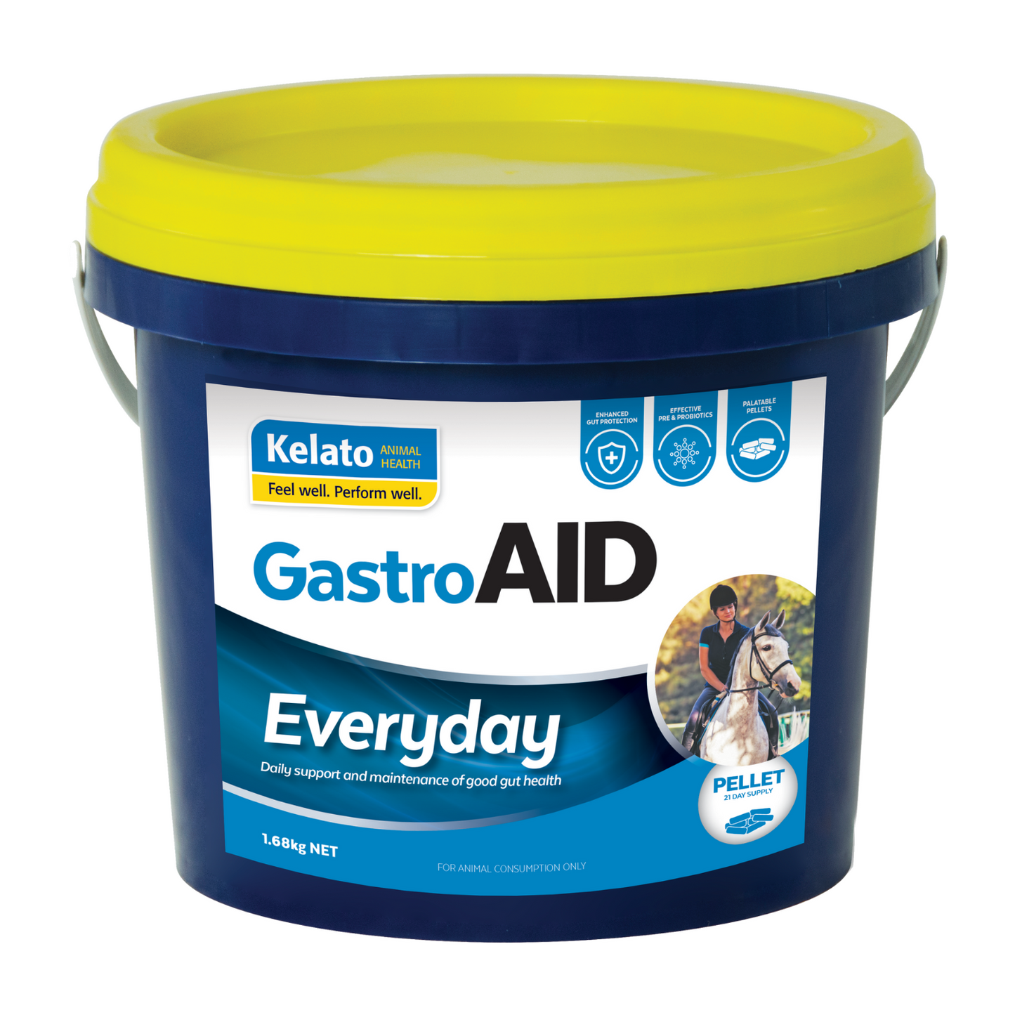 KELATO GASTROAID EVERYDAY