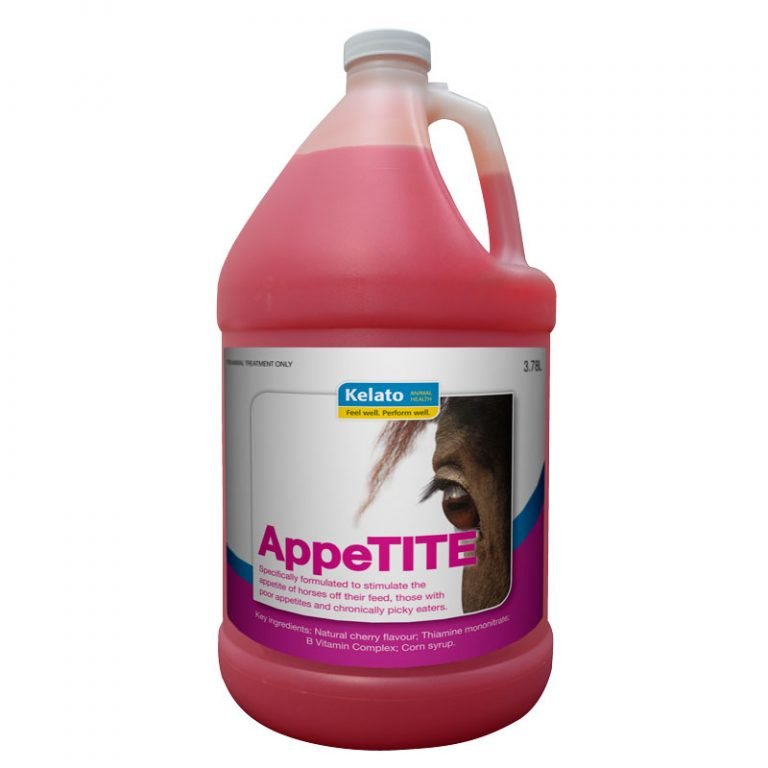 KELATO APPETITE 3.78L