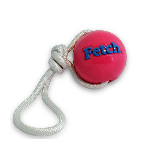 PLANET DOG ORBEE- TUFF TUG BALL PINK