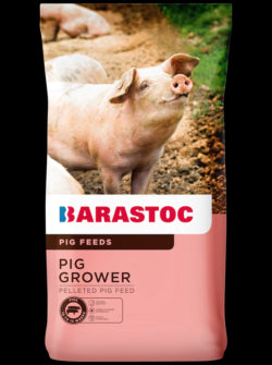 BARASTOC PIG GROWER 20KG