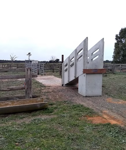 CONCRETE CATTLE RAMP