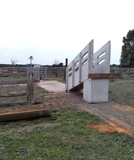 CONCRETE CATTLE RAMP