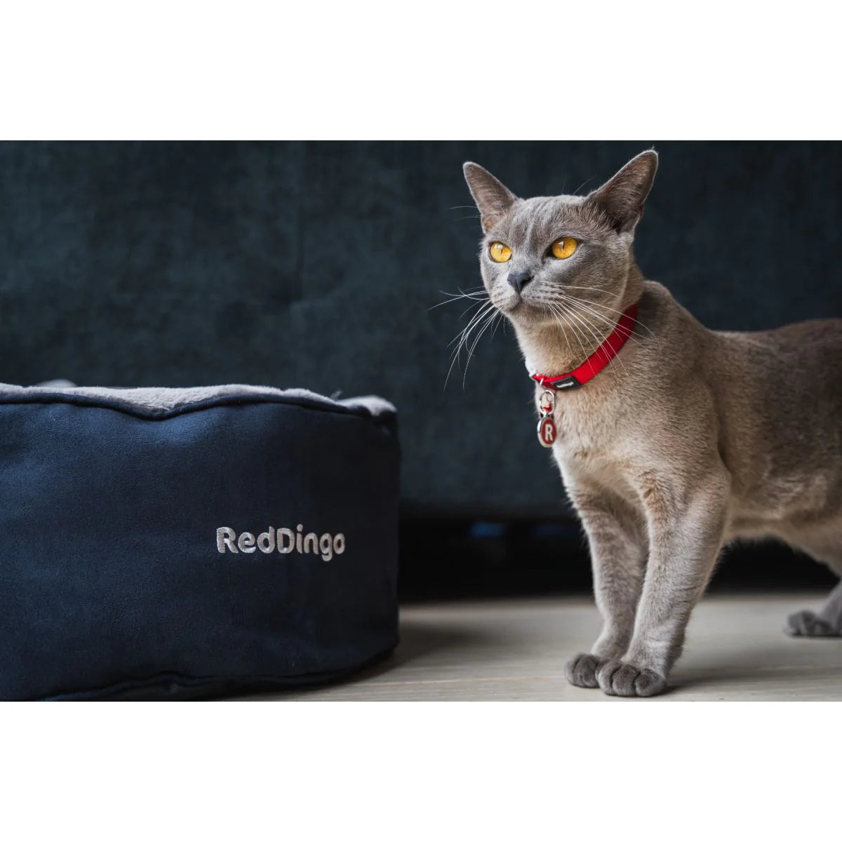 RED DINGO CAT BED BLACK