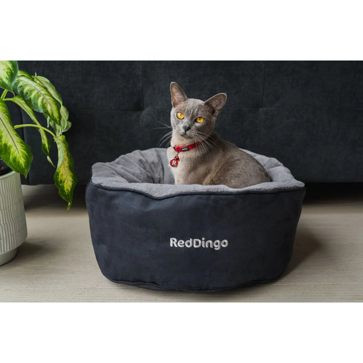 RED DINGO CAT BED BLACK
