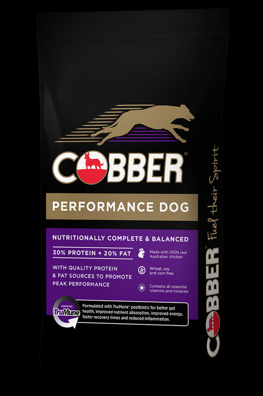 COBBER PERFORMANCE DOG 20KG