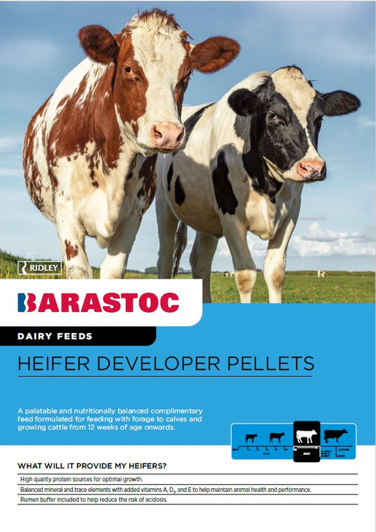 BARASTOC HEIFER DEVELOPER 20KG