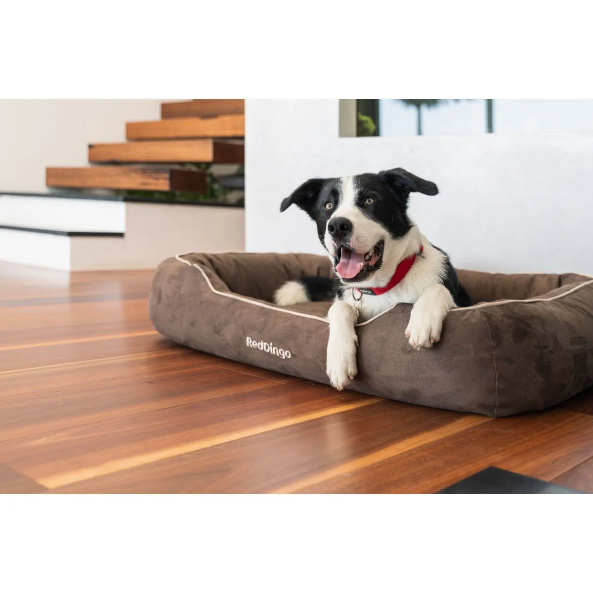 RED DINGO DONUT BED CHOCOLATE SML