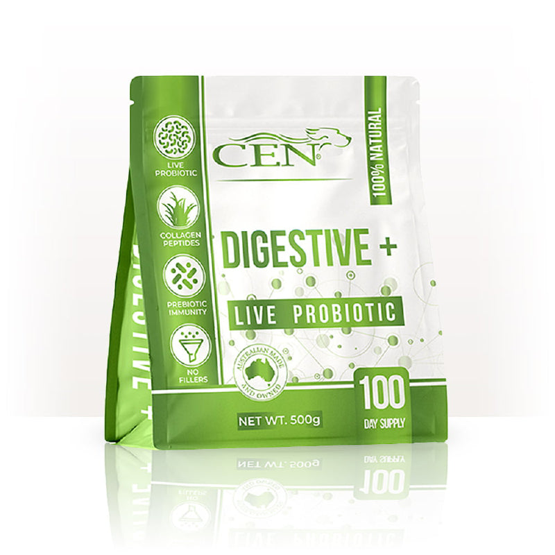 CEN DOG DIGESTIVE+ 500G