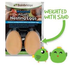 BAINBRIDGE WEIGHTED POULTRY NEST EGG 2PK