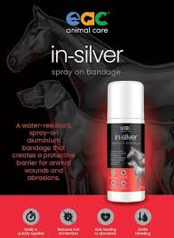 EAC IN-SILVER SPRAY