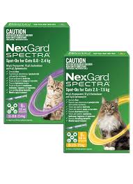 NEXGARD SPOT ON FOR CATS 3 PACK