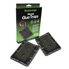 BAINBRIDGE MOUSE GLUE TRAP (4 Pack)