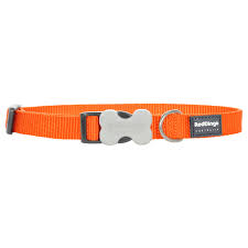 RED DINGO DOG COLLAR CLASSIC ORANGE