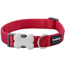 RED DINGO DOG COLLAR CLASSIC RED